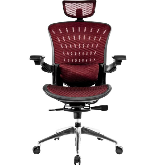 Cortez Ergonomic Office Chair